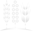 Bay State Milling Icon