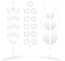 Bay State Milling icon