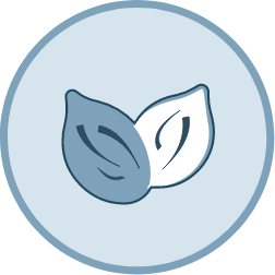 Seeds Icon