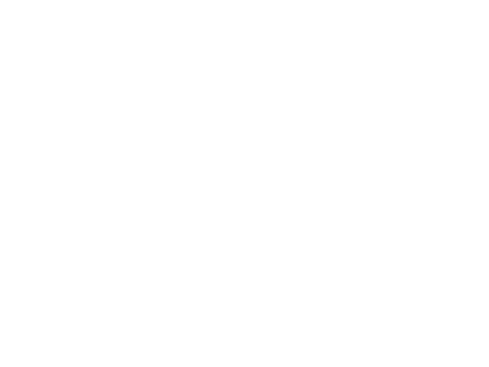 MI Rancho logo