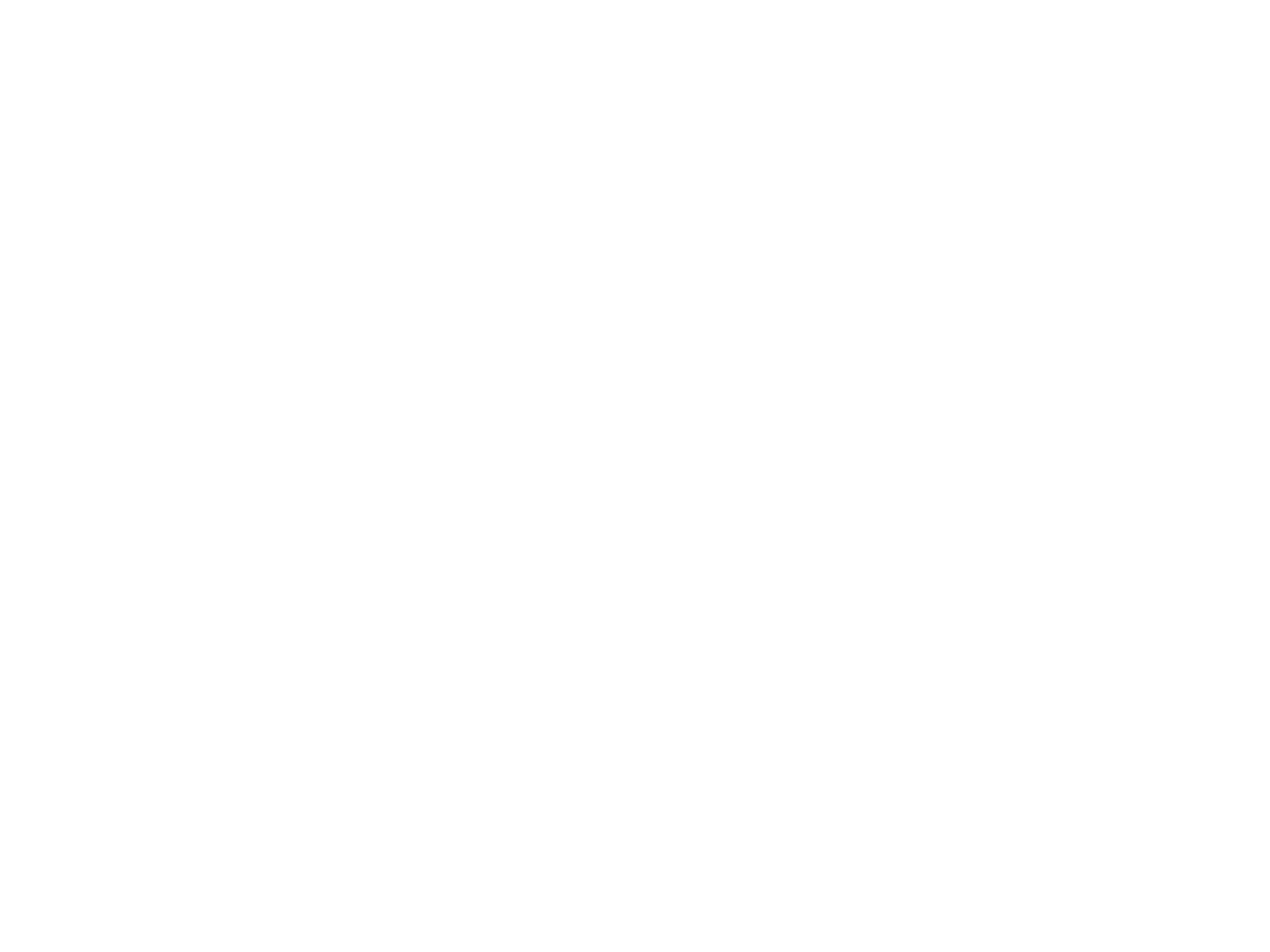 Sun Noodle logo