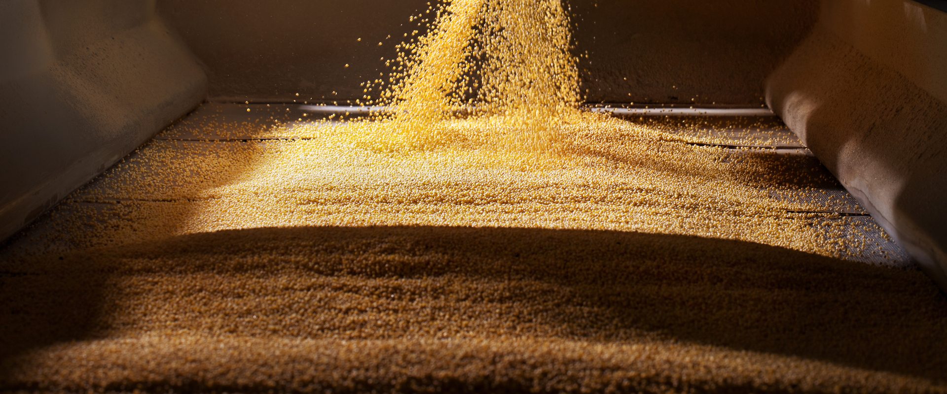 Close up of grain being poured